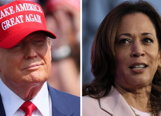 Nobel Prize-winning economists slam Trump agenda, endorse Harris