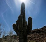 Phoenix ends 21-day streak of record October heat