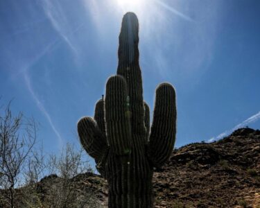 Phoenix ends 21-day streak of record October heat