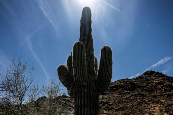 Phoenix ends 21-day streak of record October heat