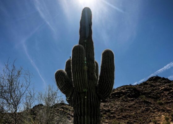 Phoenix ends 21-day streak of record October heat