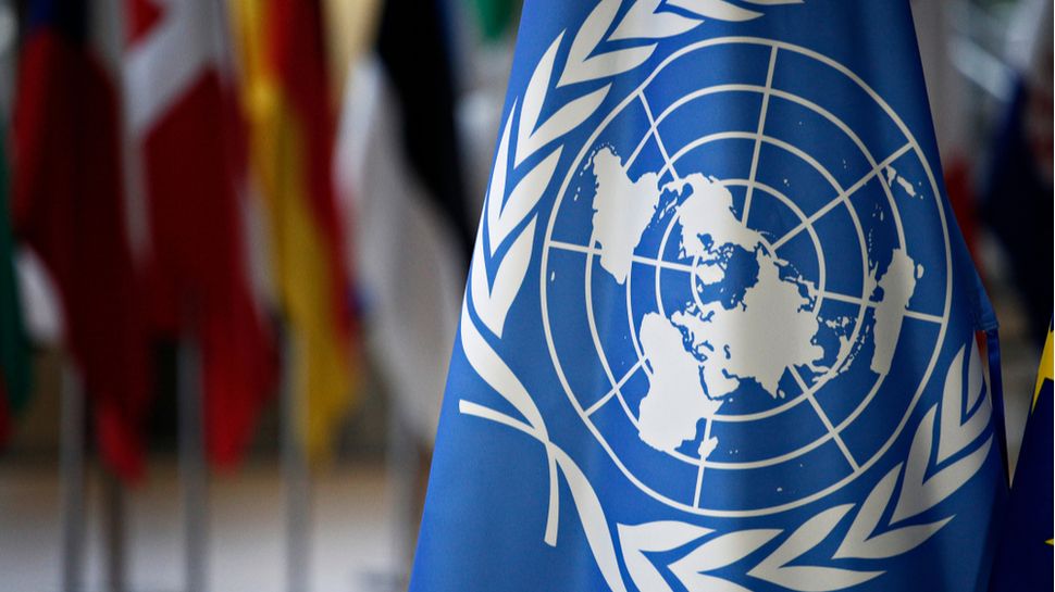 Thousands of confidential UN documents linked to gender equality push leaked online