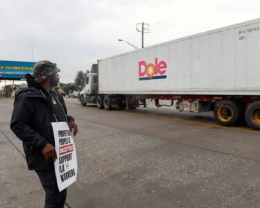 US port strike disrupts hamburger supplies, frozen seafood