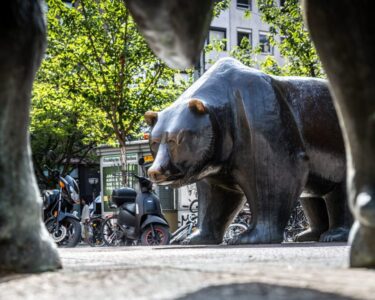 Wall Street is divided on the future of stocks. Here are bull and bear cases from the biggest banks.