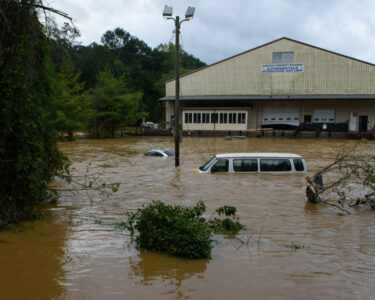 Yellow jackets swarm after North Carolina floods, prompting need for Benadryl and EpiPens