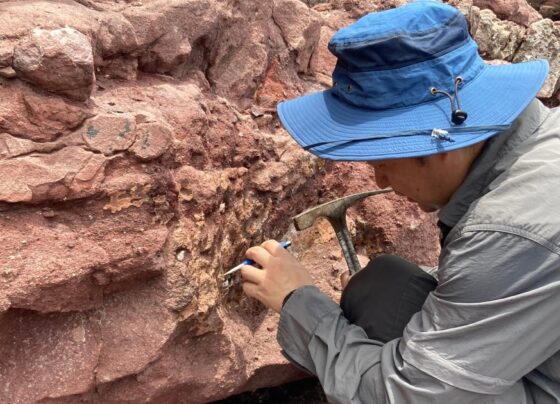 ‘Very lucky’: Hong Kong discovers dinosaur fossils for the first time