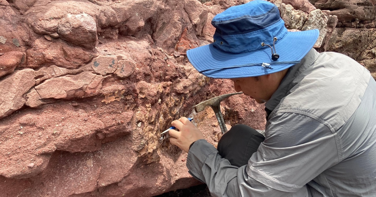 ‘Very lucky’: Hong Kong discovers dinosaur fossils for the first time