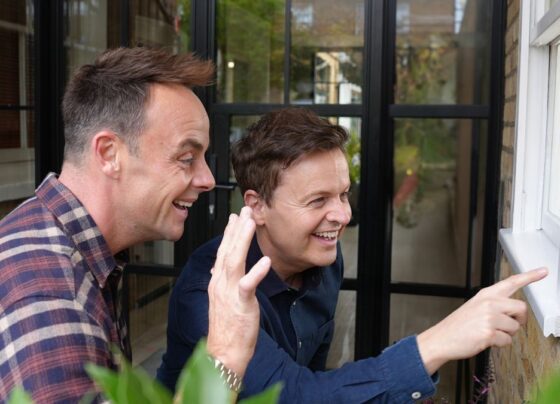 Your Ring doorbell is getting its weirdest new feature yet, courtesy of Ant and Dec