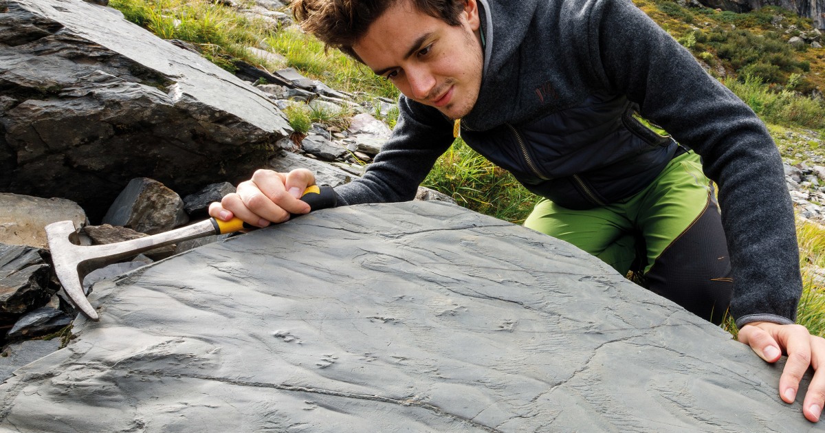 Ecosystem that predates the dinosaurs uncovered in the Alps by melting snow