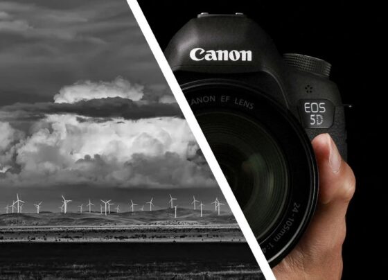 You don't really need a new camera – a $200,000 photo prize was just won with this old Canon DSLR