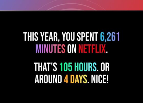 Your Netflix Wrapped 2024 recap is here – but don't tell Netflix