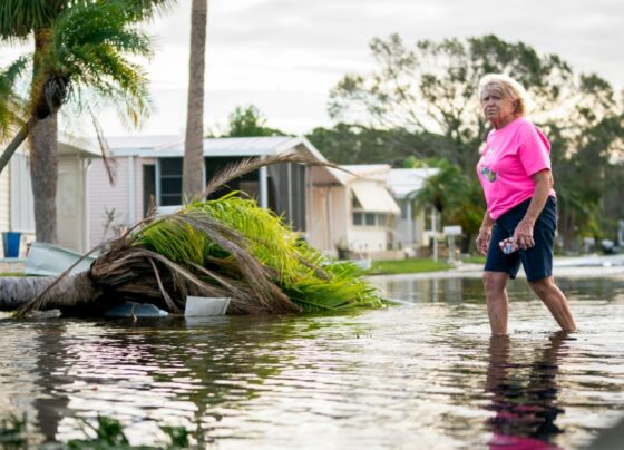 hurricane milton