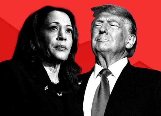 Photo collage featuring Kamala Harris and Donald Trump on red downward stock markets background