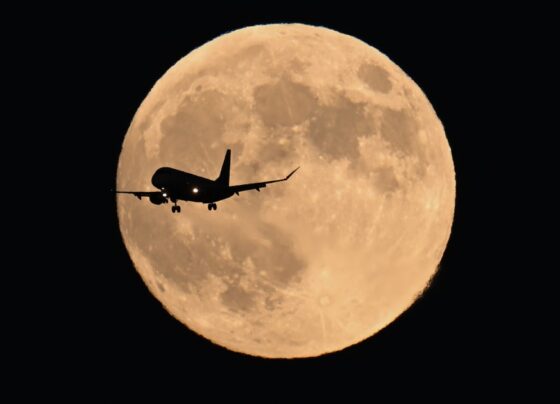 Beaver Moon, last supermoon of the year, and Leonid meteors to light up sky on same weekend