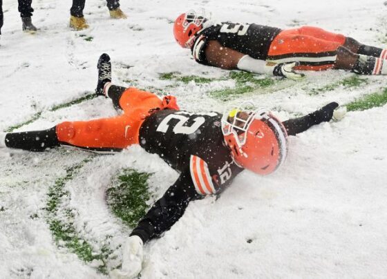 Pittsburgh Steelers players Nick Herbig and Patrick Queen celebrate a fumble against the Cleveland Browns in the fourth quarter.