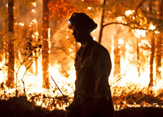 Drought plagues majority of Northeast as dry, windy weather raises fire risk