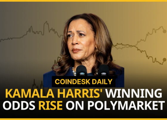 Kamala Harris' Winning Odds Rise on Polymarket; SEC Goes After Immutable