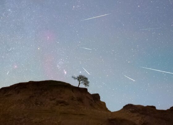 November brings a bonanza of meteor showers