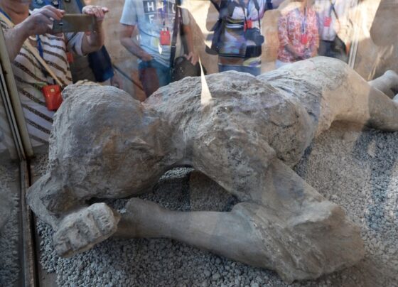 Pompeii DNA evidence contradicts long-held assumptions about victims buried in ash