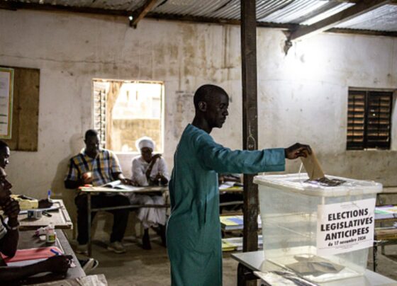 Senegal votes for lawmakers in test for new president