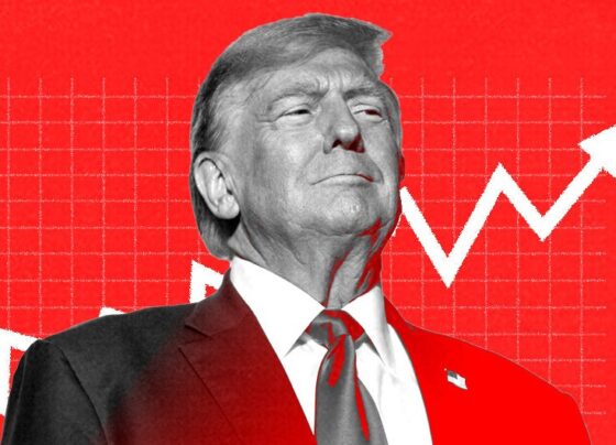 Stock market euphoric over Trump win