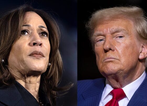 Democratic presidential nominee, Vice President Kamala Harris and Republican presidential nominee, Former President Donald Trump. - Photo: Bill Pugliano (Getty Images)