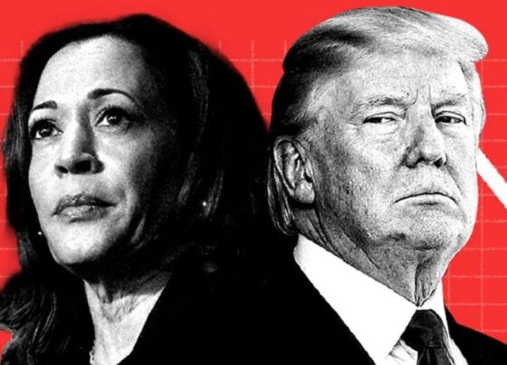 Trump trades waver as Harris' betting odds edge up days before the election