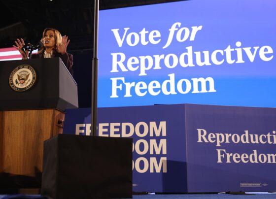 What a potential Harris administration could actually do to protect abortion access