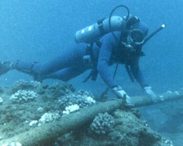 Undersea cable board launched to combat damage and sabotage