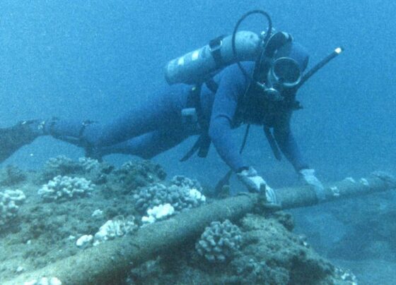 Undersea cable board launched to combat damage and sabotage