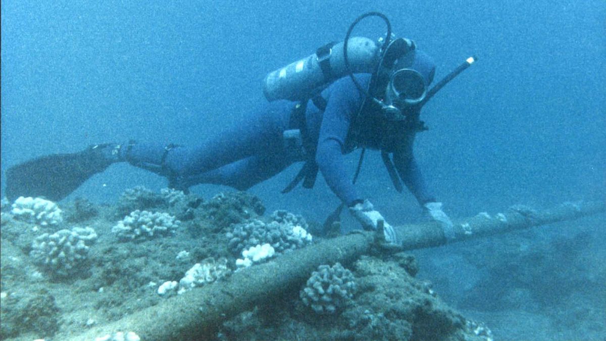 Undersea cable board launched to combat damage and sabotage