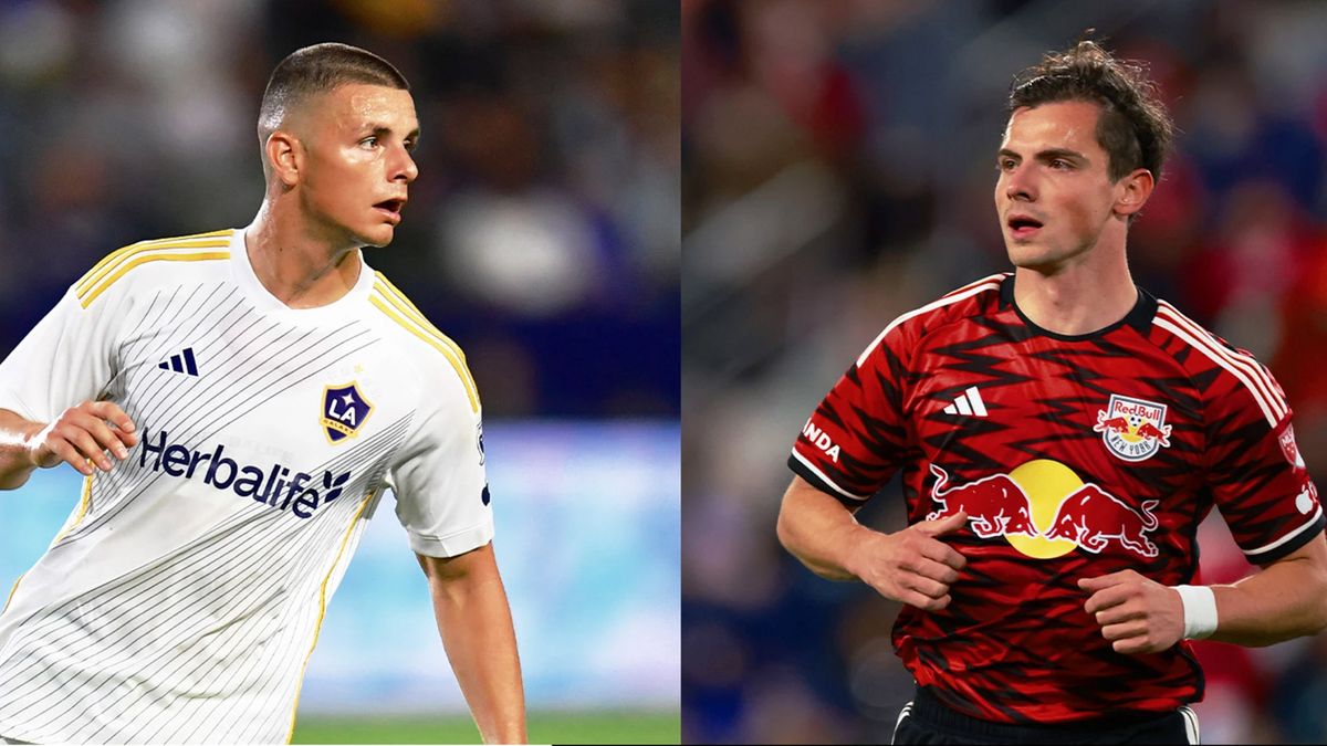 How to watch the 2024 MLS Cup for free – LA Galaxy vs New York Redbulls