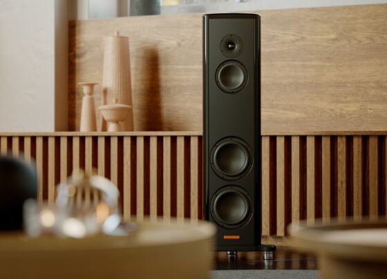 These speakers look and sound a million dollars, but they don't cost quite as much… 