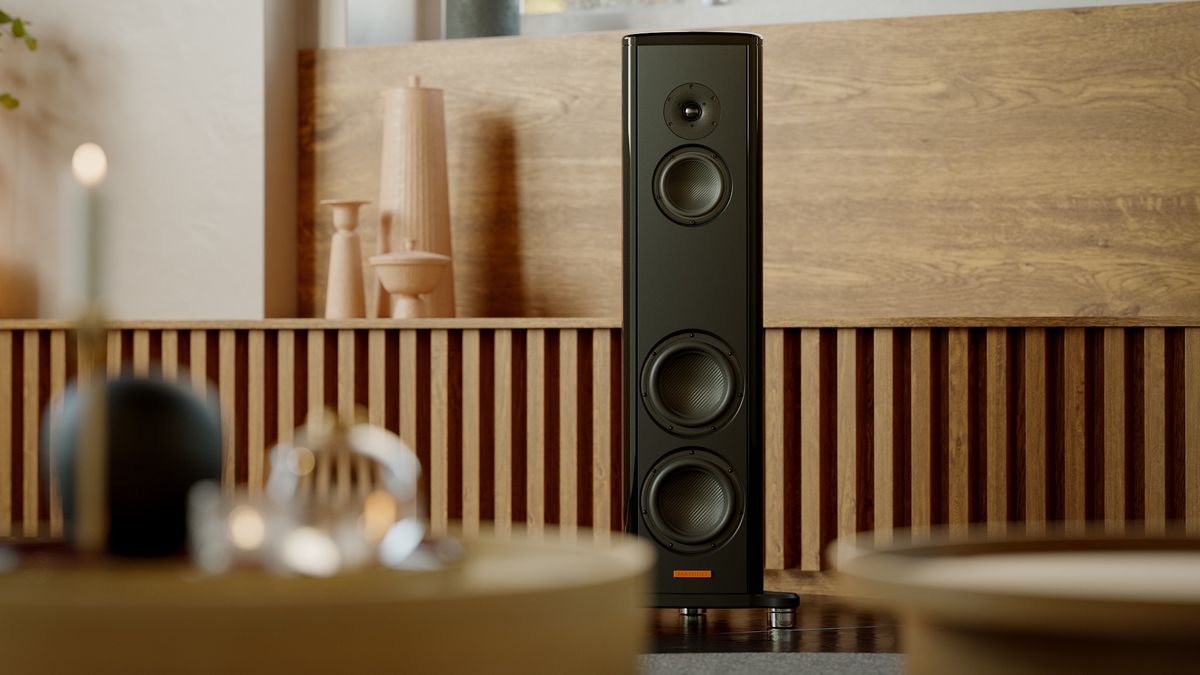 These speakers look and sound a million dollars, but they don’t cost quite as much… 