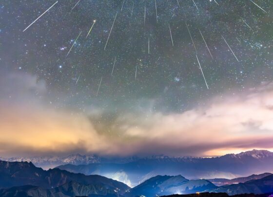 Geminid Meteor Shower Seen In Mumbai