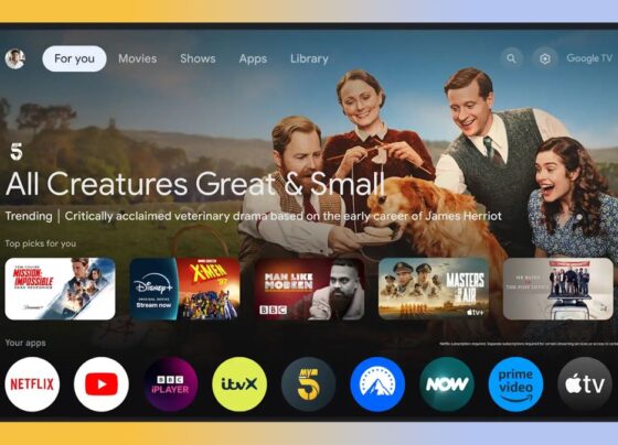 Google TV users are getting even more free channels in time for the holidays