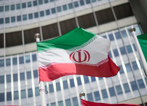 Iran will not impede IAEA access, head of its atomic organization says