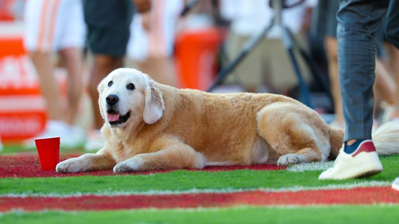 President Biden honors Kirk Herbstreit’s late, football-loving dog Ben in heartfelt letter | CNN