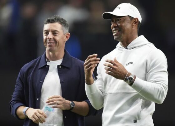 McIlroy and Woods are the main figures behind TGL.