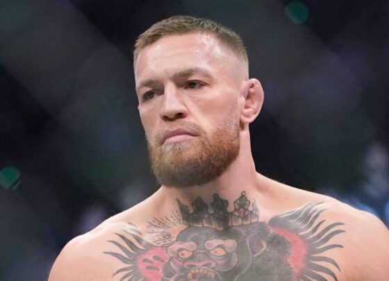 UFC star Conor McGregor punched Miami heat mascot Burnie twice during a mid-game skit on June 9, 2023.