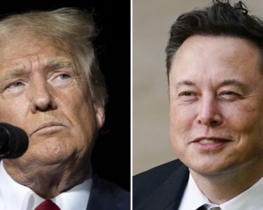 Musk undercuts Trump's Stargate AI investment announcement