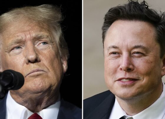 Musk undercuts Trump's Stargate AI investment announcement