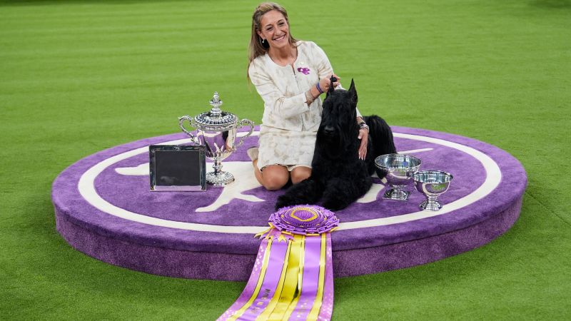 Monty the Giant Schnauzer wins Best in Show at the Westminster Kennel Club Dog Show | CNN