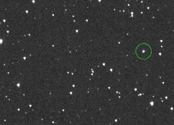 NASA says that, yes, an asteroid buzzing by in 2032 could hit Earth