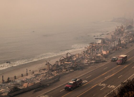 Scientists racing to discover the depth of ocean damage sparked by the L.A. wildfires