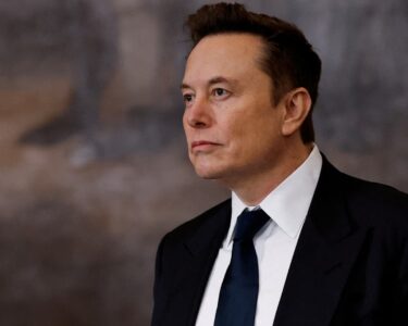 U.S. judge declines to block Elon Musk's DOGE from Labor Department systems